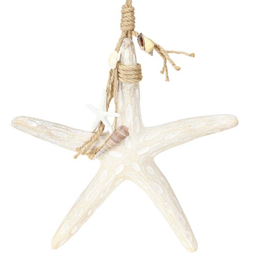 Floristik24 Estrella de mar decorativa para colgar decoración marítima madera blanca 30cm