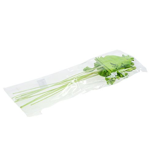 Floristik24 Palos decorativos rana verde 7cm - 10cm 12pcs