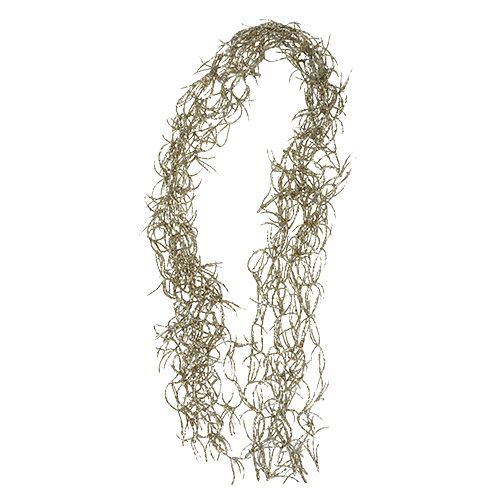 Floristik24 Hilo de decoración Tillandsia Gold 100cm 10pcs