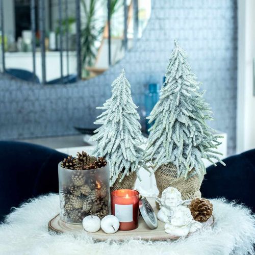 Floristik24 Abeto decorativo con nieve, decoración de adviento, abeto en maceta Al. 37 cm