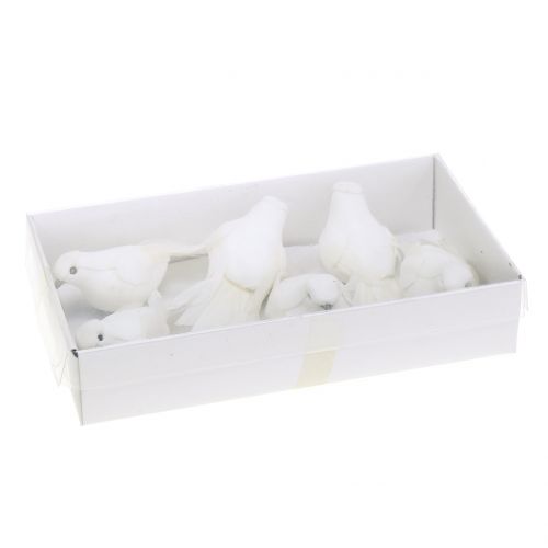 Floristik24 Deco palomas en el alambre blanco 9cm 6pcs