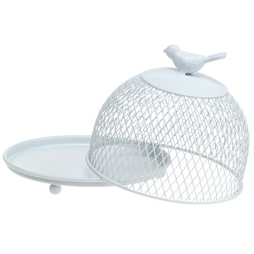 Floristik24 Plato decorativo con capucha blanca Ø14cm