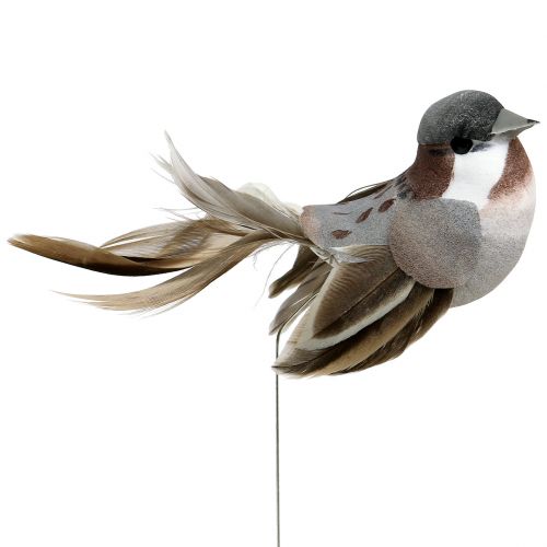 Floristik24 Deco Bird Grey, Marrón 8,5cm 12pcs