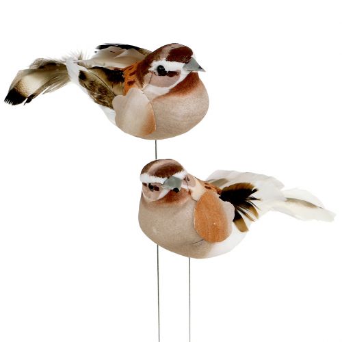 Floristik24 Pájaro decorativo para pegar Marrón 10cm 12pcs