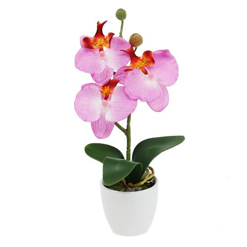 Floristik24 Orquídea deco en maceta rosa Al.29cm