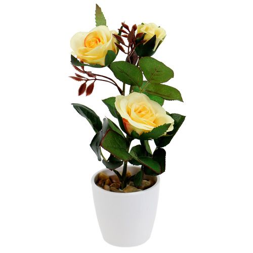 Floristik24 Rosa decorativa en maceta amarilla 23cm