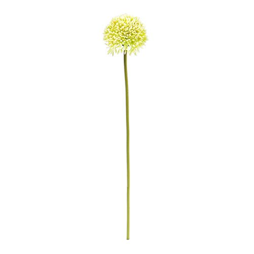 Floristik24 Deco allium crema Ø6.5cm L39cm