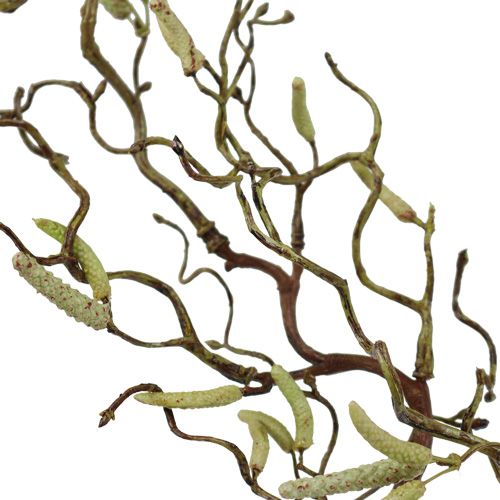 Floristik24 Rama decorativa de abedul 68cm