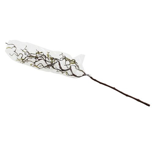 Floristik24 Rama decorativa de abedul 68cm