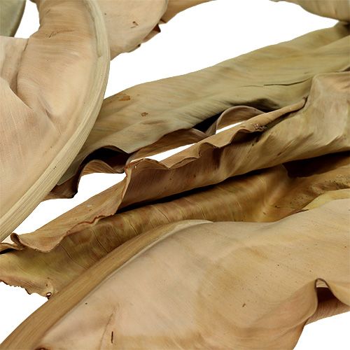 Floristik24 Hojas decorativas naturaleza 120cm 20 uds.