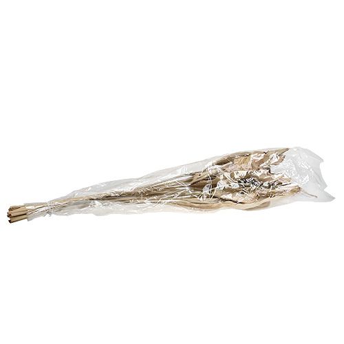 Floristik24 Hojas decorativas naturaleza 120cm 20 uds.