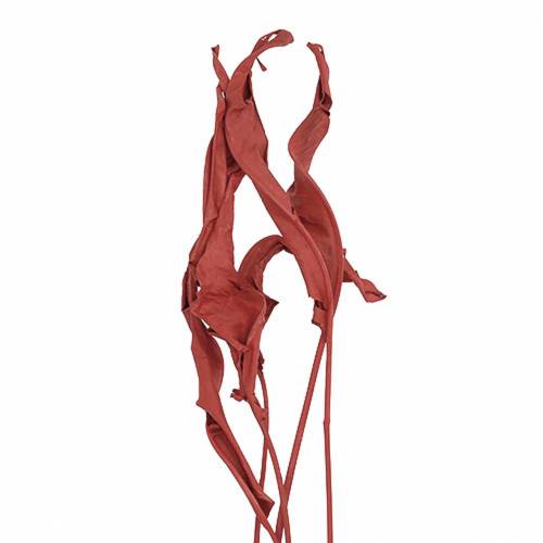 Floristik24 Hojas decorativas Strelitzia roja 85-105cm 10 piezas