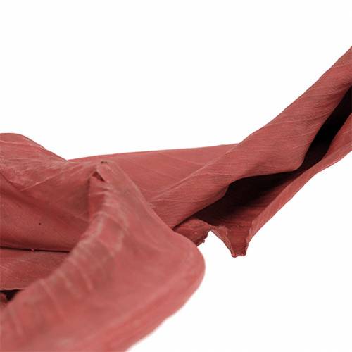 Floristik24 Hojas decorativas Strelitzia roja 85-105cm 10 piezas