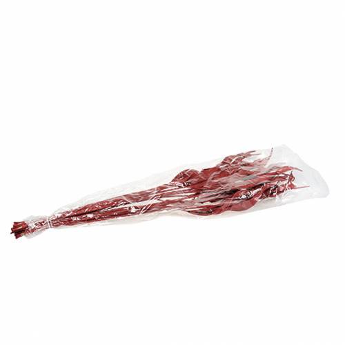 Floristik24 Hojas decorativas Strelitzia roja 85-105cm 10 piezas