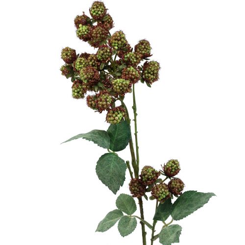 Floristik24 Rama decorativa de morera, rama de bayas, rama de morera verde 78cm