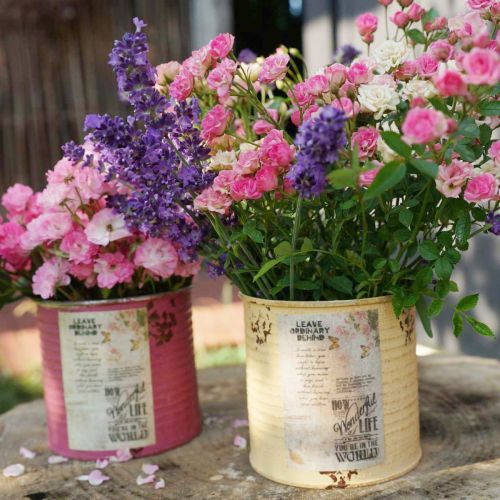 Artículo Lata decorativa, albaricoque, maceta de metal, decoración de verano, Ø15,5 cm H15 cm