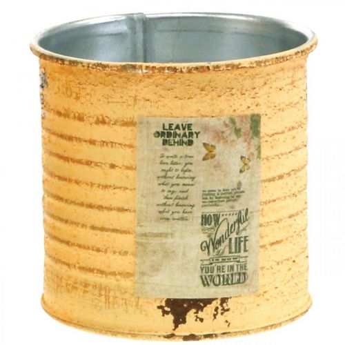Artículo Caja decorativa verano albaricoque caja de metal macetero Ø8cm H7.5cm