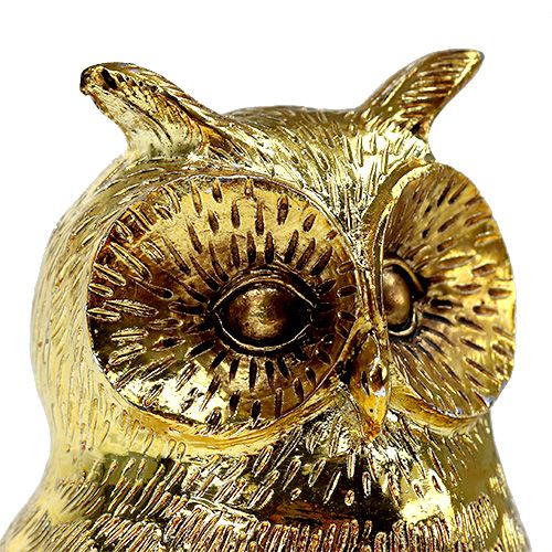 Floristik24 Deco búho dorado, brillante 12cm 4pcs
