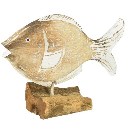 Peces decorativos soporte de madera sobre raíz decoración marítima 27cm