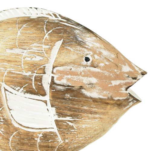 Floristik24 Peces decorativos soporte de madera sobre raíz decoración marítima 27cm