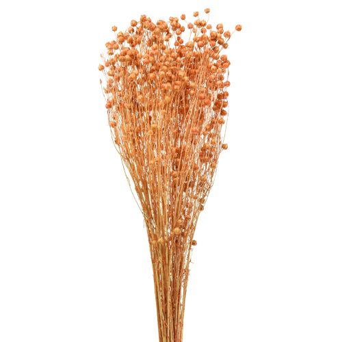 Floristik24 Deco Lino Seco Flores Secas Albaricoque Naturaleza 80g