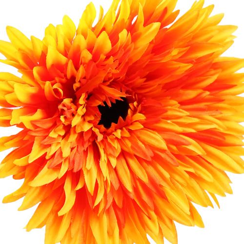 Floristik24 Deco Gerbera Naranja Ø15cm L88cm