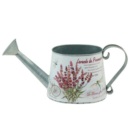 Floristik24 Regadera decorativa jarra de metal para lavanda 30×11cm H14,5cm