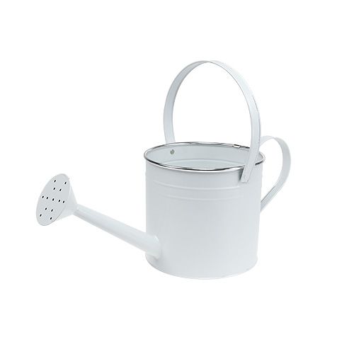 Floristik24 Regadera decorativa blanca Ø17cm H17cm 1p