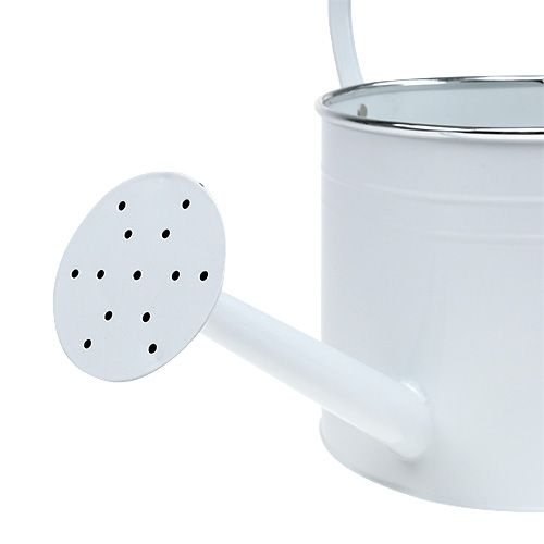 Floristik24 Regadera decorativa blanca Ø17cm H17cm 1p