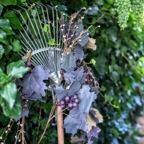 Artículo Guirnalda decorativa Hojas de parra y uvas Guirnalda de otoño 180cm