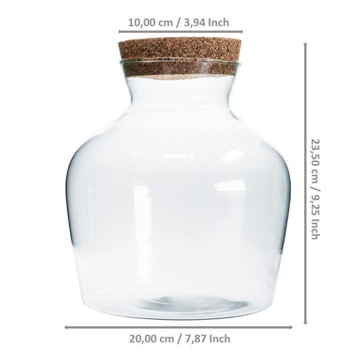 Floristik24 Vaso decorativo con corcho Florero decorativo claro bulboso Ø20cm H21cm