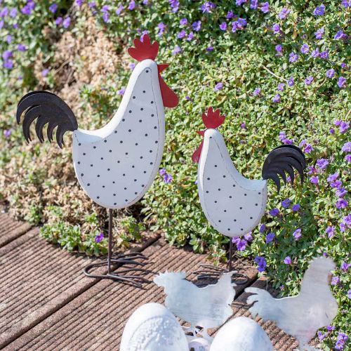 Floristik24 Gallo decorativo madera punteado blanco figura decorativa Pascua H21cm 2pcs