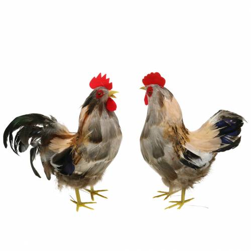 Floristik24 Decoración de Pascua de gallos y gallinas con plumas naturales H26cm juego de 2