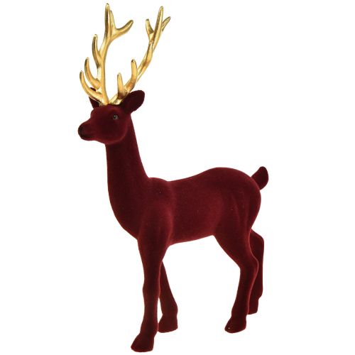 Floristik24 Figura decorativa ciervo reno burdeos dorado flocado Al. 37 cm