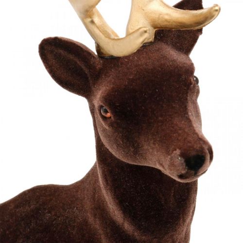 Floristik24 Figura decorativa ciervo grande dorado marrón Navidad Navidad 40cm