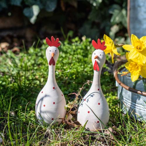 Floristik24 Gallina decorativa madera blanca con lunares figura Pascua Ø7cm H20cm