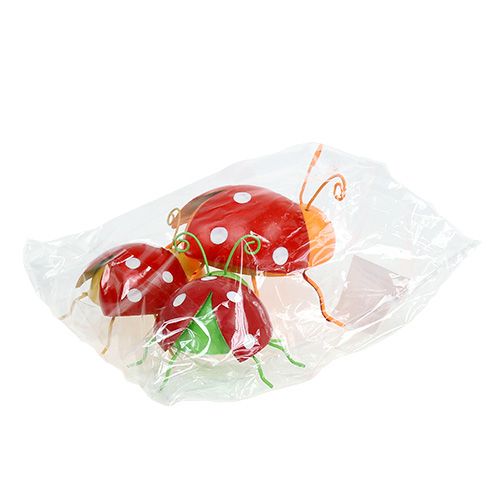 Floristik24 Deco escarabajo colores surtidos 8cm 3uds