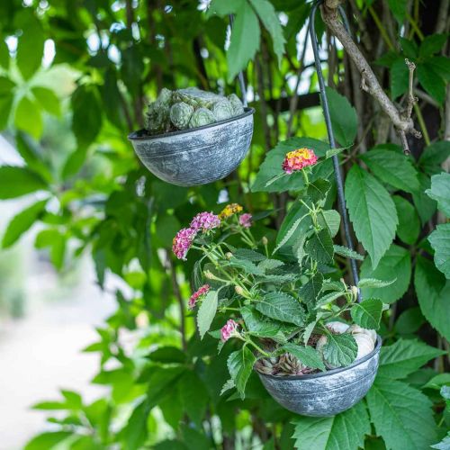 Floristik24 Paleta decorativa de metal, cuenco decorativo para colgar Gris Ø13cm