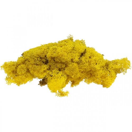 Floristik24 Deco musgo musgo de reno amarillo para manualidades amarillo limón 500g