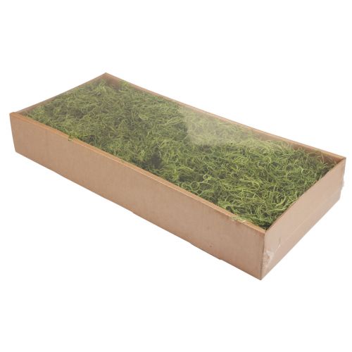 Artículo Musgo decorativo bosque seco musgo verde decoración natural 300g