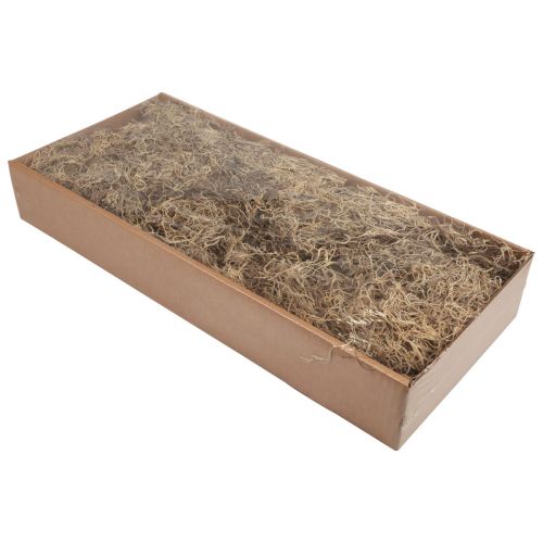 Artículo Musgo decorativo musgo de bosque seco decoración natural marrón 300g