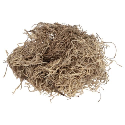 Musgo decorativo musgo de bosque seco decoración natural marrón 300g