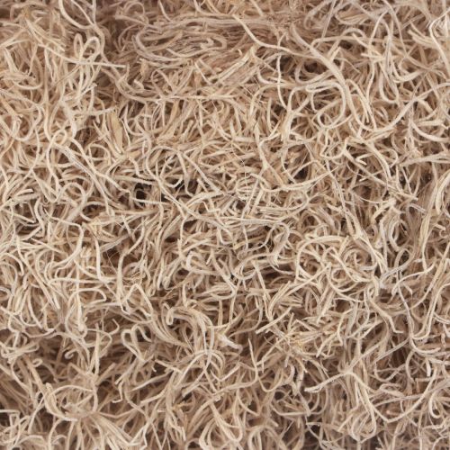 Artículo Musgo decorativo musgo de bosque seco decoración natural blanqueada 300g