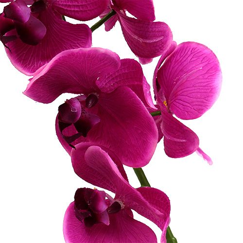 Artículo Deco Orchid Pink L77cm