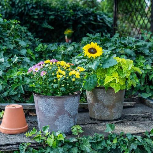 Floristik24 Macetero decorativo con hojas de zinc metalizado gris, naranja, marrón Ø26cmH22cm 3pcs