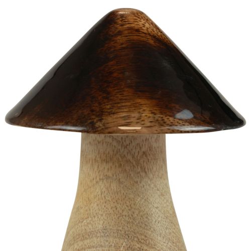 Artículo Seta decorativa Seta de madera marrón natural efecto brillo Ø7,5cm H10cm