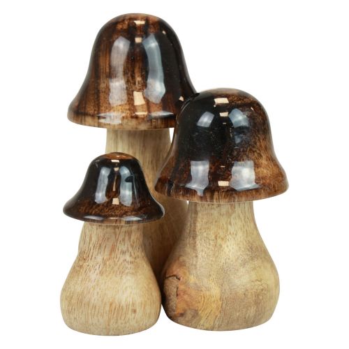 Artículo Setas decorativas Setas de madera marrón efecto brillante decoración otoñal Al.6/8/10cm