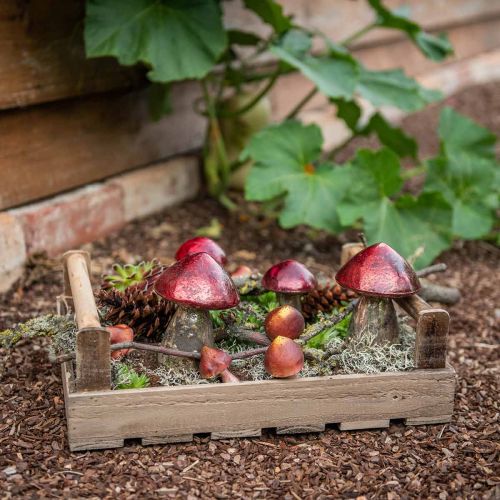 Floristik24 Deco setas vidrio rojo vintage otoño decoración Ø9cm H13.5cm 2pcs