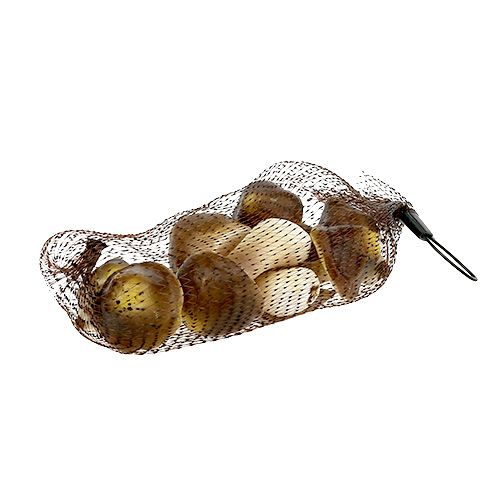 Floristik24 Setas decorativas en la red 5-8cm surtidas. marrón 8pcs