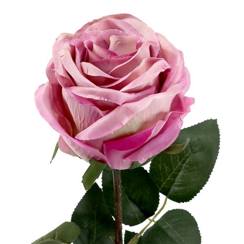 Artículo Rosa decorativa rosa antigua Ø10cm L65cm 3 piezas